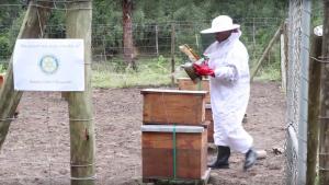 Ilfracombe Rotary Club Beekeeping Project Swaziland