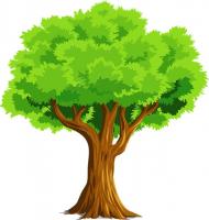Jubilee oak tree