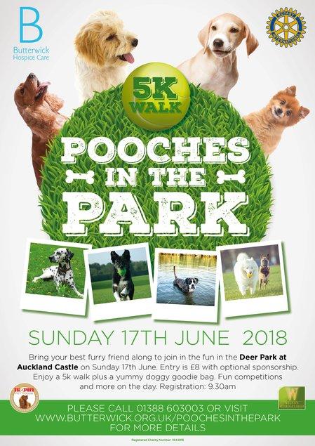 Pooches in the Park