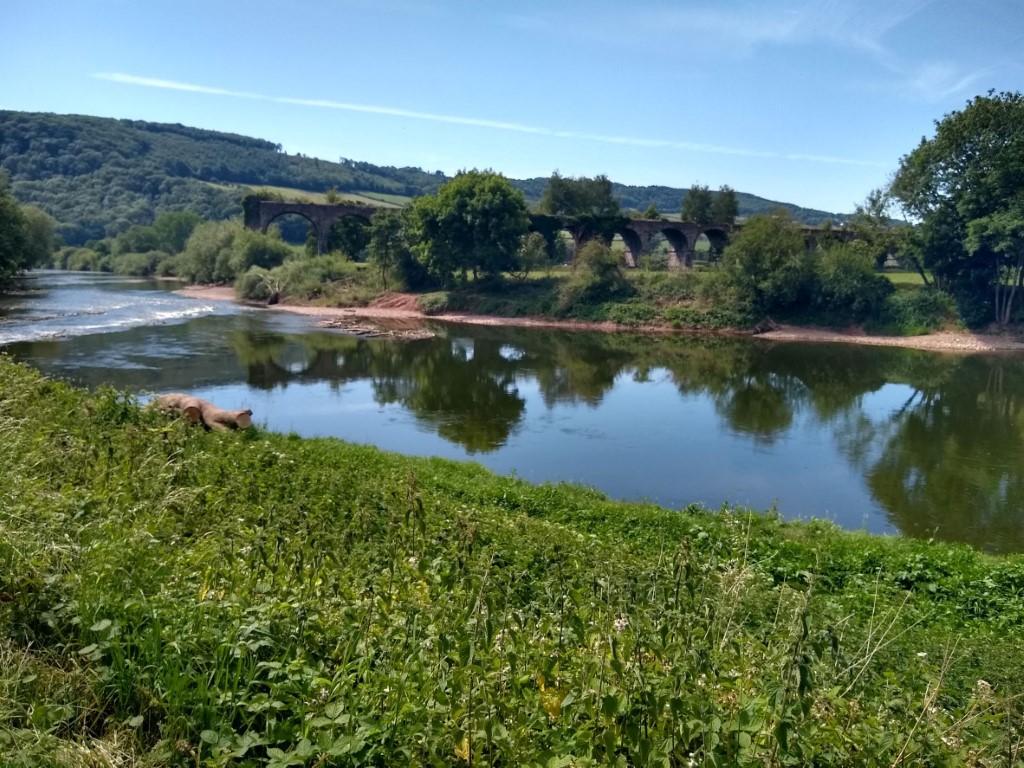 The River Wye in Spring