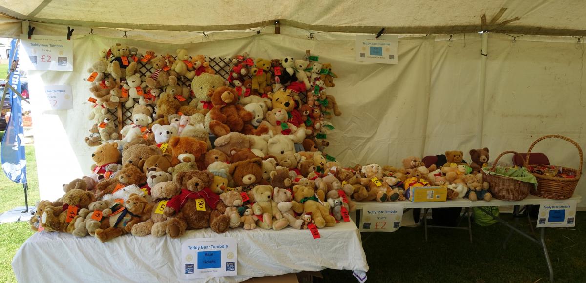 170 bears ready for a new home.