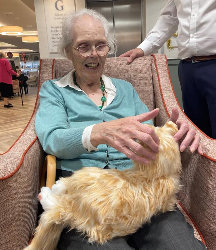 Therapy Cats can help support people affected by Dementia