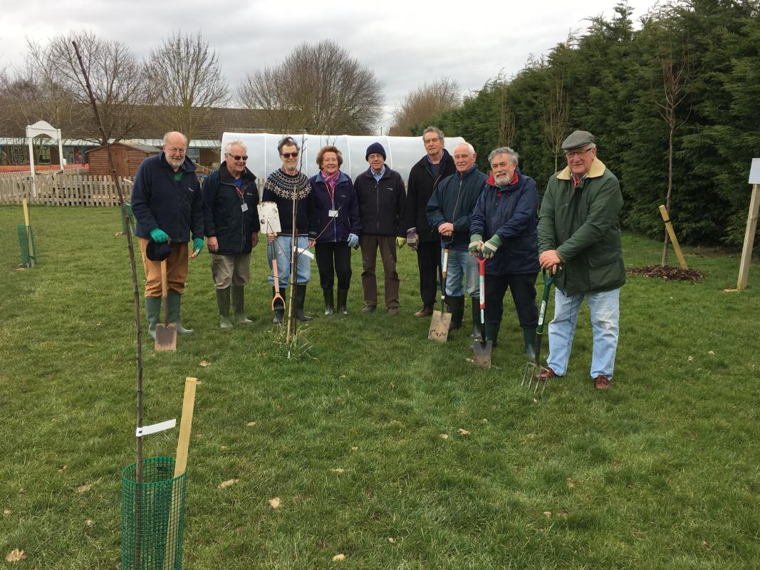 Rotary Members planting tree at Ashleigh School, Wymondham