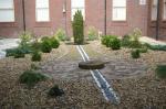 Conifer Garden at the Wrexham Maelor Hospital