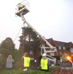 The tree is maneuvered into place