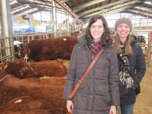 Foundation Students visit the Bull Sales in Stirling