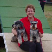 Gill Clarke, with Bella and Vinny