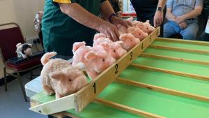 Pig Racing - Castle Connections, Queenborough
