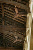 The angels of St Nicholas Chapel, King's Lynn.