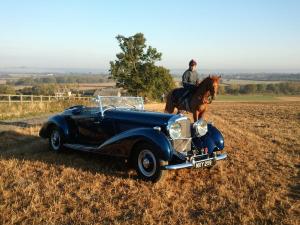 Car and horse