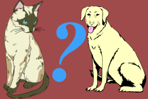 A computer image of a cat and a dog with a question mark between them.
