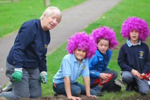 Pat Armstrong of Rotary in Amersham helps pupils from St Mary's School plant 2000 purple Crocuses at St Mary's Churchyard Amersham