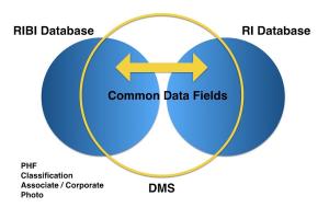 Data Management System