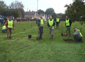 Bulb planting in Nailsea