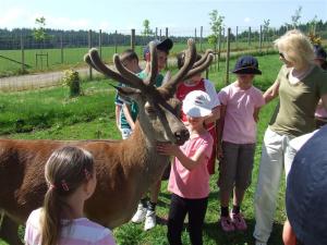 Hosting the Children fromChernobyl 2009