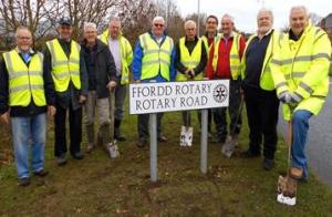 Daffodil Planting on Rotary Road