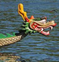 Rotary Dragon Boat Race