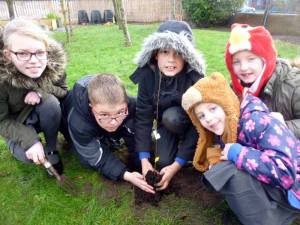 Tree Planting in Ainsdale
