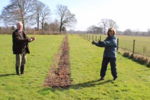 Wirral Hedge & Tree Planting