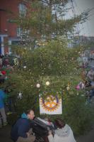 Ross Town Christmas Tree 2017