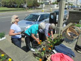 Club members tending a plot on Worthing seafront