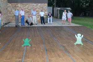 Summer BBQ and Frog Racing