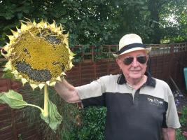 Summer Sunflower Party for Malaria Elimination