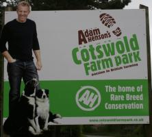 Youngsters day out at Cotswold Farm Park