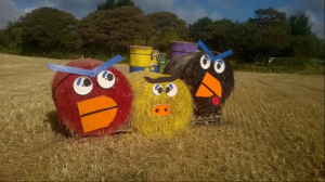 Return of Giant Minions to Isle of Man Field raises £3,260 for Charity