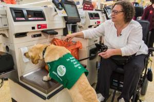 Lynn Matthews will do a brief introduction into Dogs for Good and what they do. She will then do a demonstration with Christa, her black labrador.