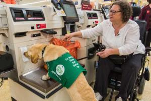 Lynn Matthews will do a brief introduction into Dogs for Good and what they do. She will then do a demonstration with Christa, her black labrador.
