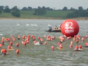 Swimmers in the water at the start of the swim