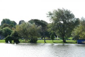 Course View