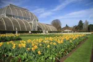 A beautiful day for our tour of Kew Gardens