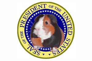 President Holly G Pig