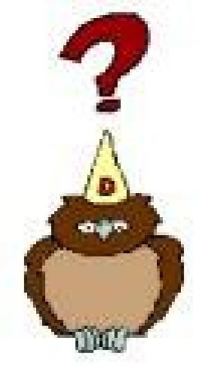 quiz owl