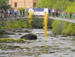 Duck Race on the Allan Water Saturday September 4th 2021 @ 14.00