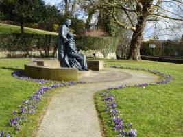 Purple crocuses outside of Sackville college in East Grinstead to celebrate the purple pinkie campaign.