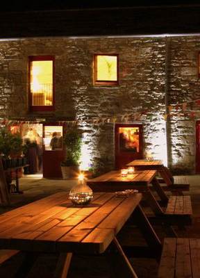 Knightor Vineyard Ladies Night Wine Tour, Tasting & Buffet
