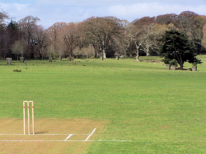 Cricket Match v Boconnoc Friendly XI at Boconnoc Cricket Club