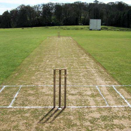 Cricket Match v Boconnoc Friendly XI at Boconnoc Cricket Club