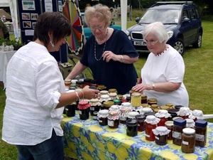 2015 Lostwithiel Carnival Charity Fete Day