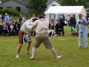 2015 Lostwithiel Carnival Charity Fete Day