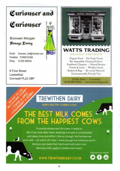 2015 Lostwithiel Carnival Programme