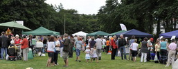 2011 Lostwithiel Carnival Charity Stalls