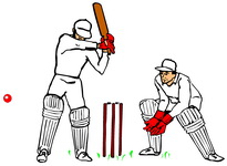 2011 Lostwithiel Carnival Cricket