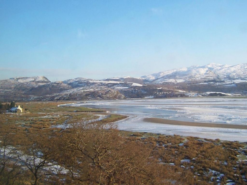 Frozen estuary