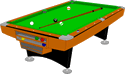 Snooker Table