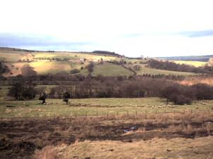 The North York Moors