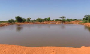 Community Water Pan